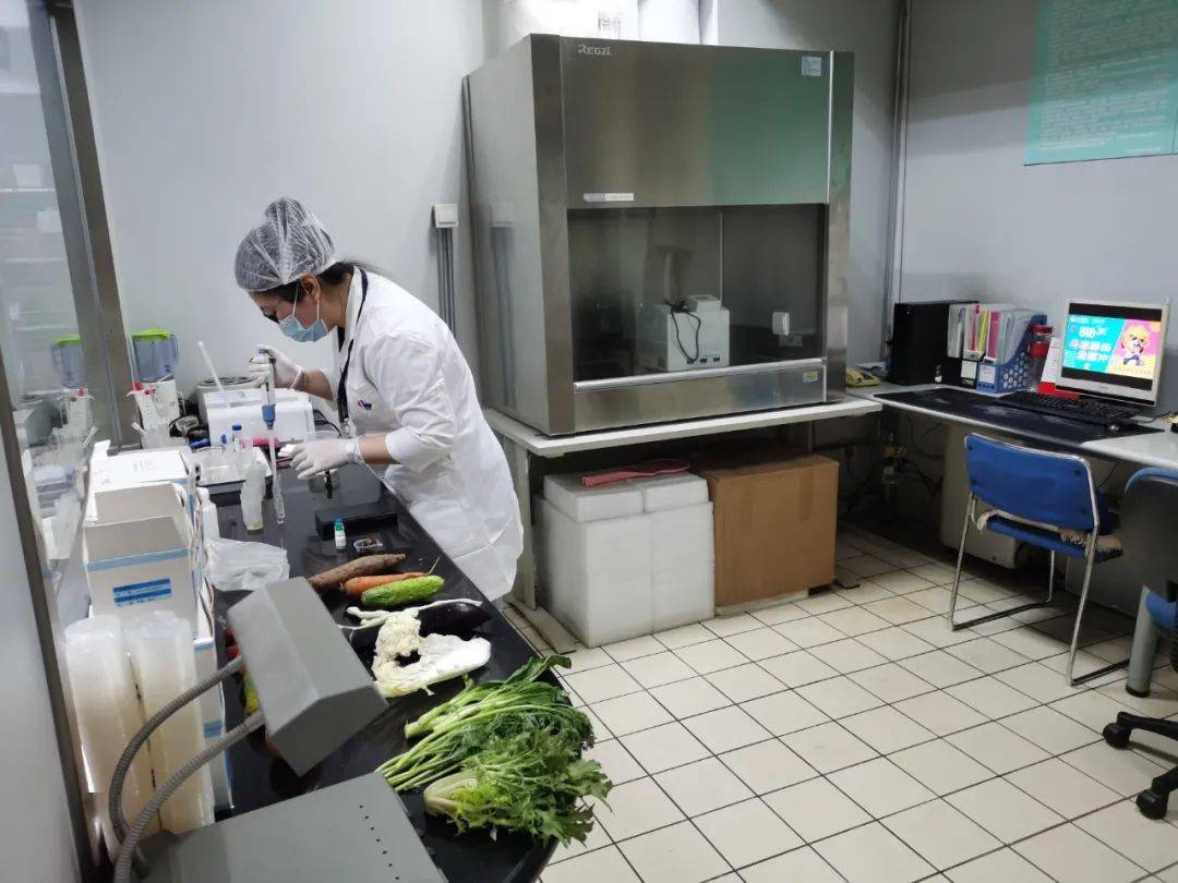 大城食品检测实验室装修方案